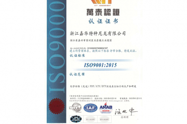 CN-ISO9001 - Prutex Nylon - Công Ty TNHH Sợi Nylon Prutex